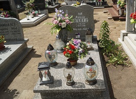 Zenon Darul 1937 Bledzew - Grobonet - Wyszukiwarka osób pochowanych